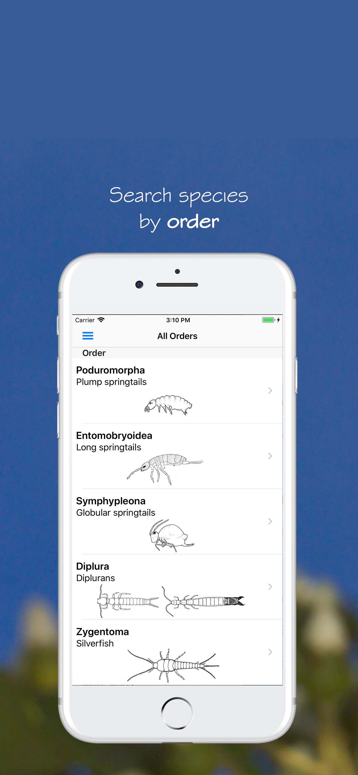 eInsects of South Africa