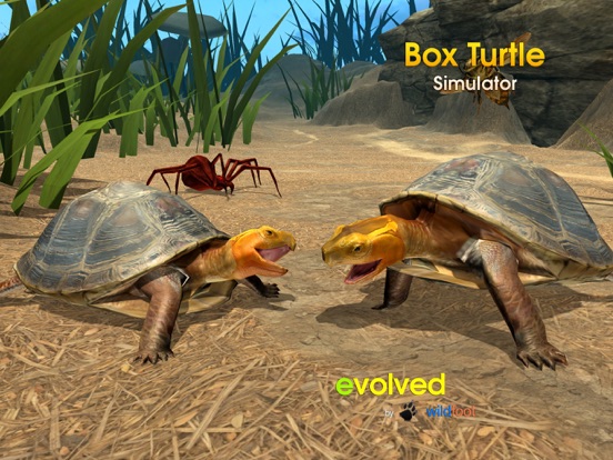Screenshot #4 pour Box Turtle Simulator