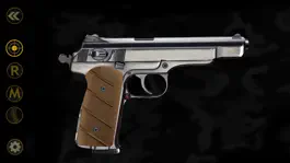 Game screenshot Pistols Guns - Gun Simulator hack