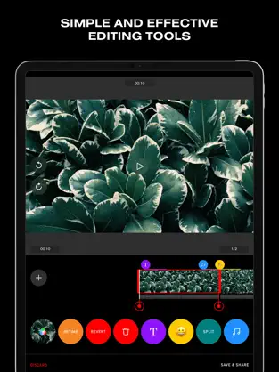 Screenshot 5 24FPS - Filtro de vídeo y LUT iphone