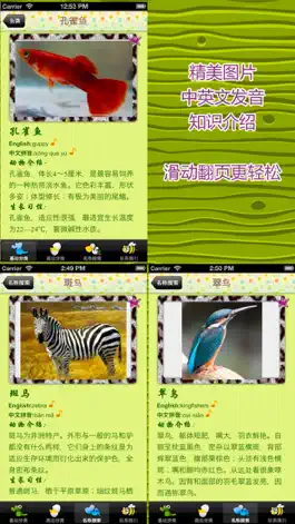 Game screenshot 中英文儿童识物及游戏：常见动物 mod apk