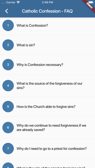 Catholic Confession Guide screenshot 3