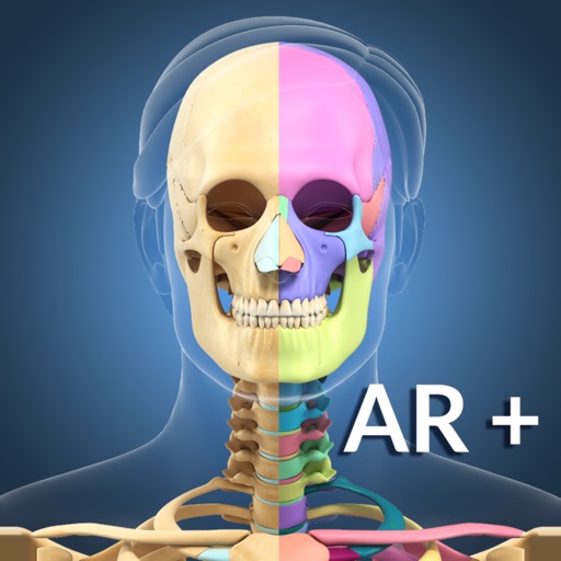 AR Skeleton Anatomy icon