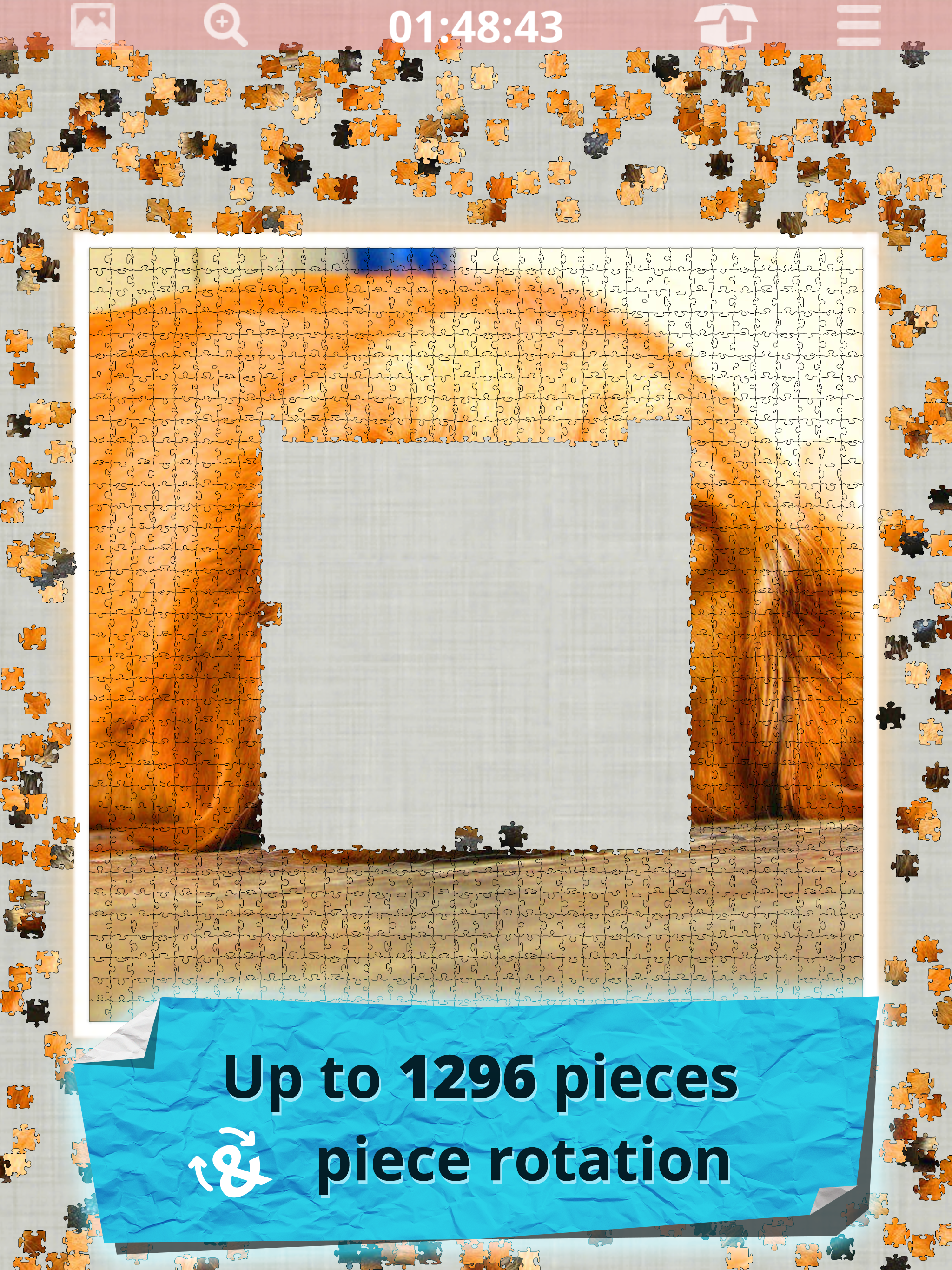 Jigsaw Puzzles Real Jigsaws