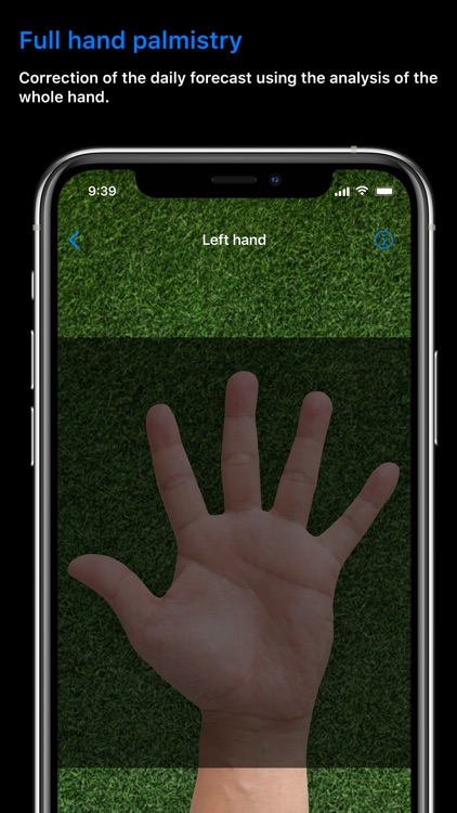 Dr. Palmistry & Numerology