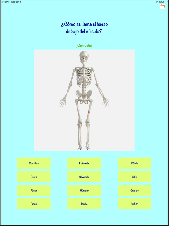 Genio de Anatomía iPad screenshot 2 - Education app