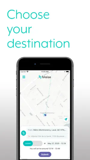 Blaise Transit screenshot 2