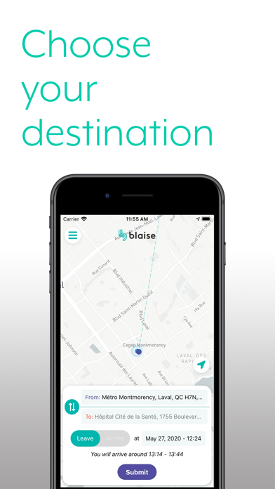Blaise Transit Screenshot