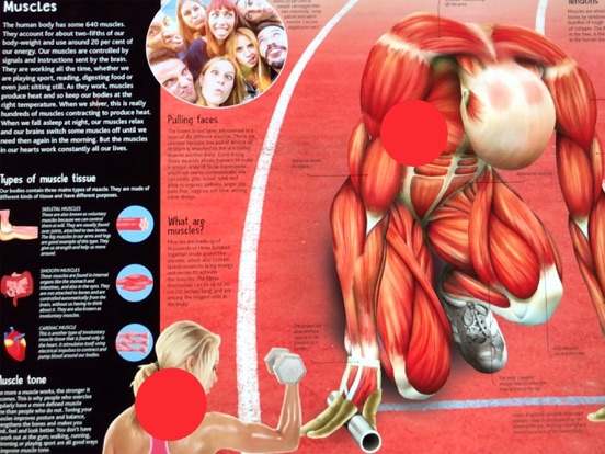 Screenshot #4 pour TapADot-HumanBody