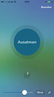 vagusvit home iphone bildschirmfoto 3