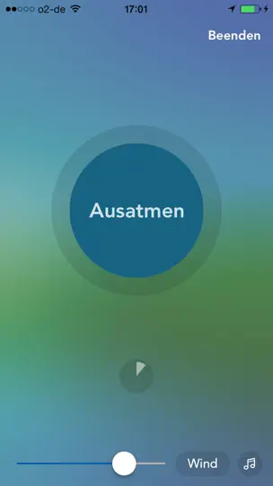 Screenshot von Vagusvit Home auf dem iPhone 3