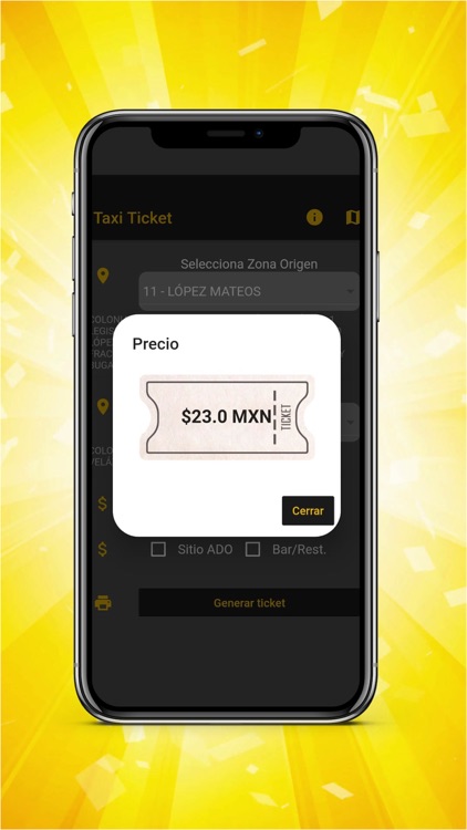 Taxi Ticket screenshot-3