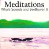 Meditations Whales Beethoven 8 delete, cancel