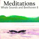 Meditations Whales Beethoven 8 App Contact
