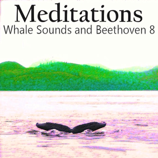 Meditations Whales Beethoven 8 icon