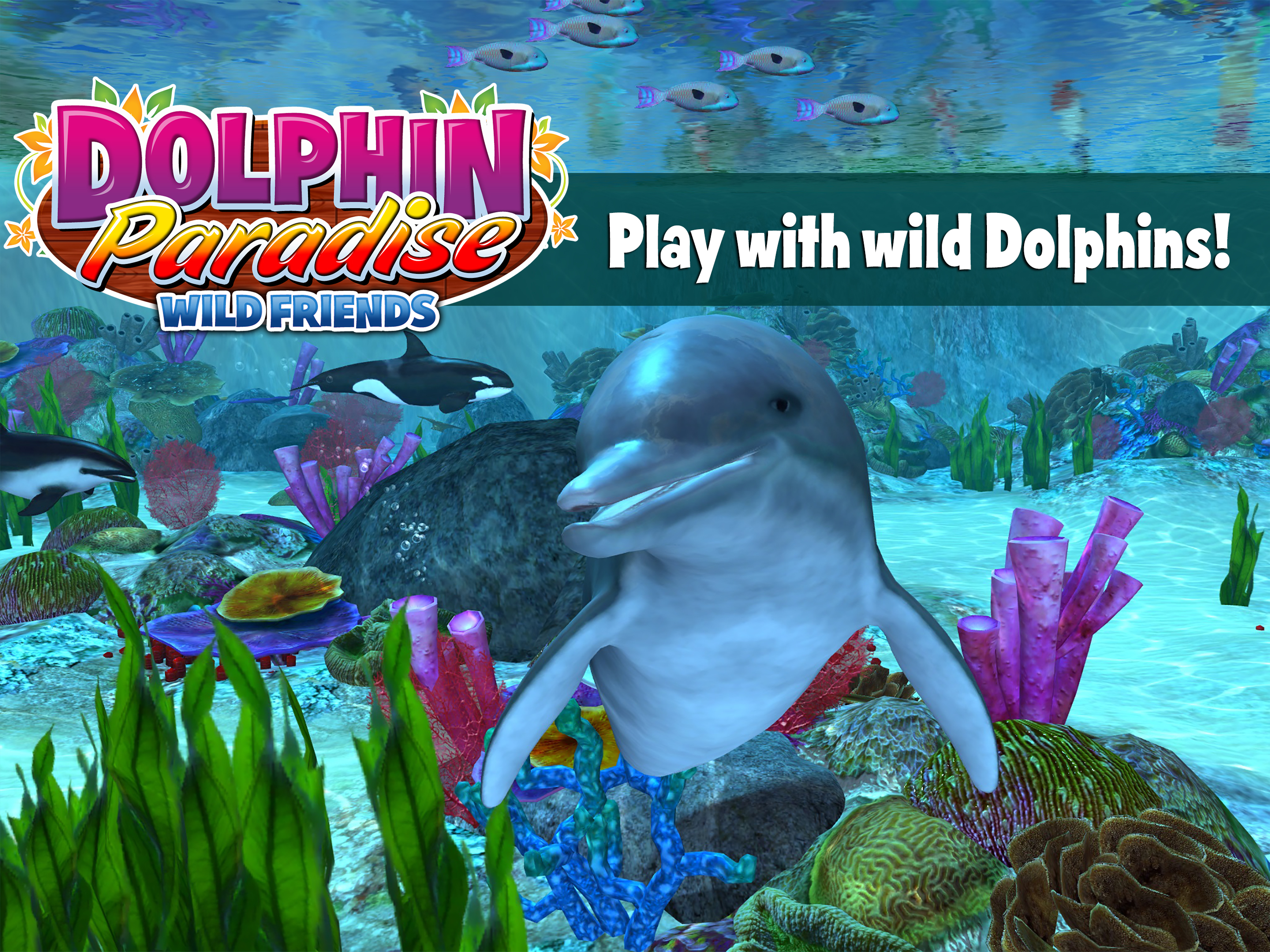 Dolphin Paradise: Wild Friends