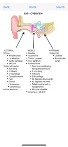 Instant Anatomy Flash Cards screenshot #2 for iPhone