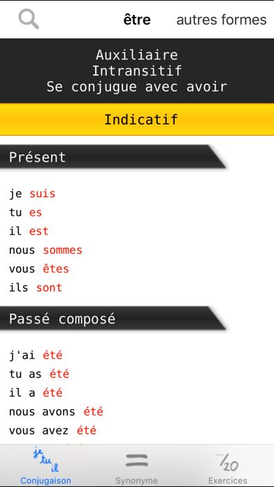 French verbs conjugation Screenshot