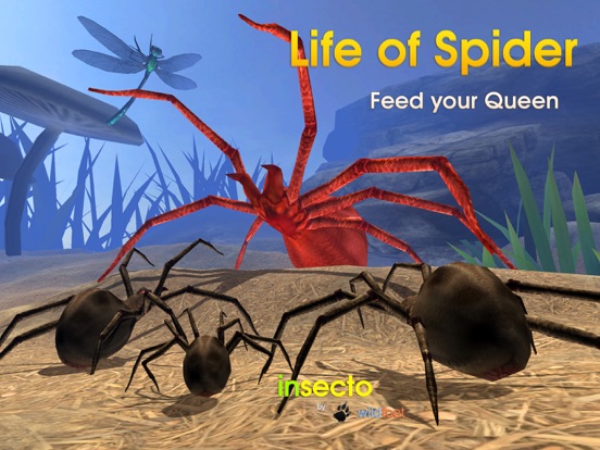 Life Of Spiderのおすすめ画像6