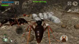 Game screenshot Ant Simulation 3D hack