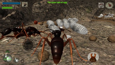 Ant Simulation 3Dのおすすめ画像3