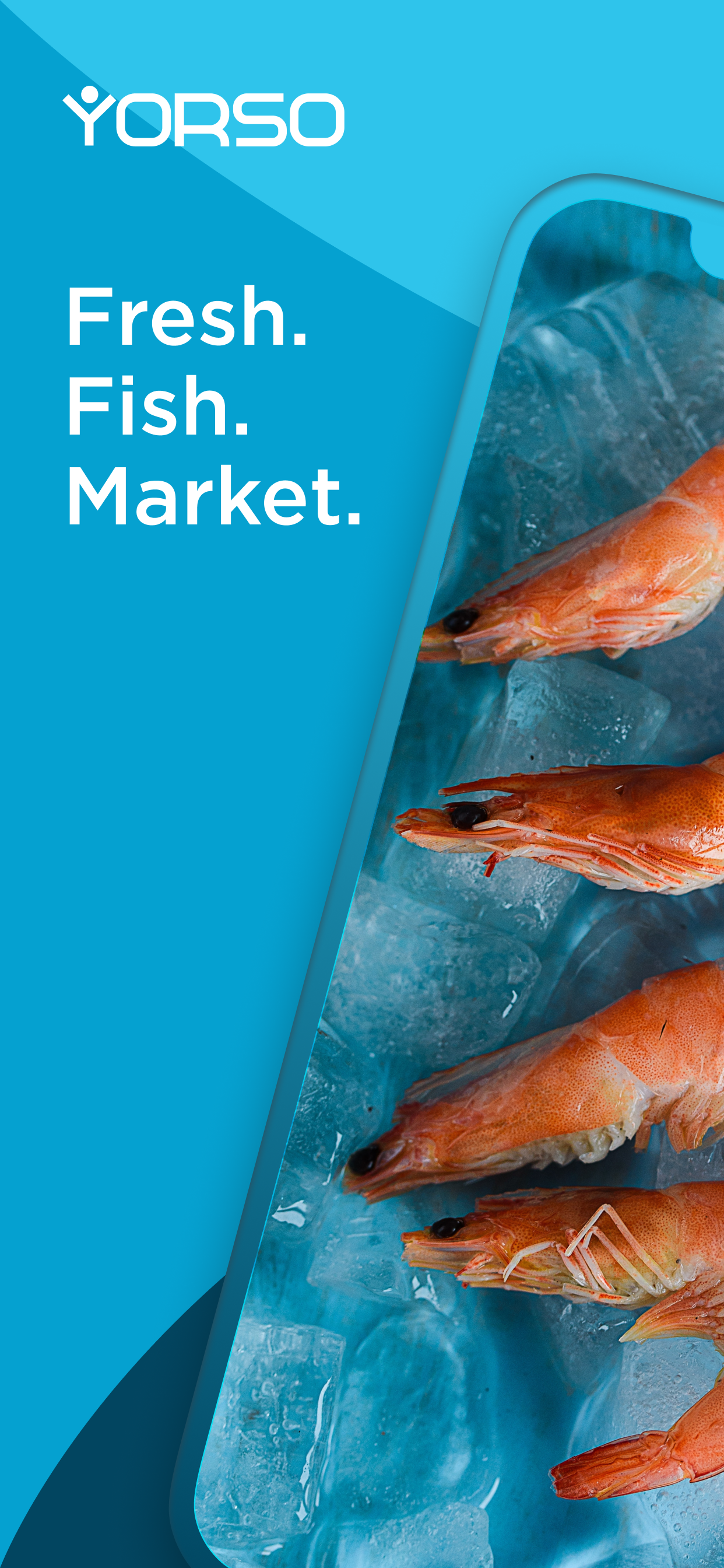 YORSO Fresh Fish B2B