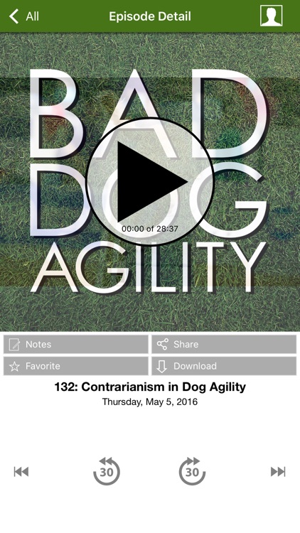 Bad Dog Agility