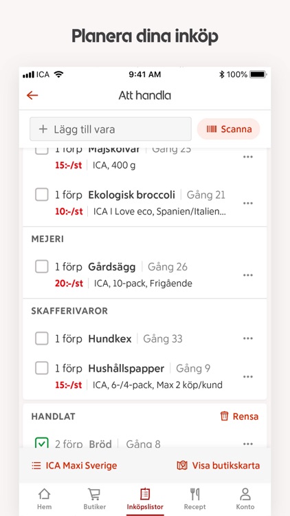 ICA screenshot-4