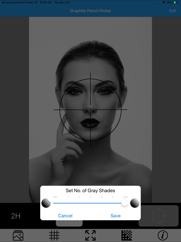 Graphite Pencil Picker