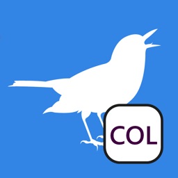 BirdSounds Colombia