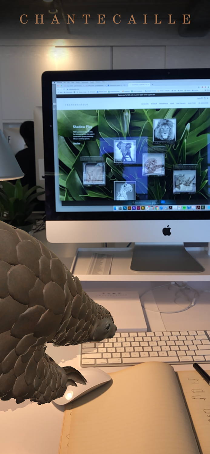 Chantecaille Wild Beauty