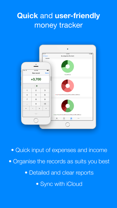 Screenshot #1 pour Filki - Expenses and Income