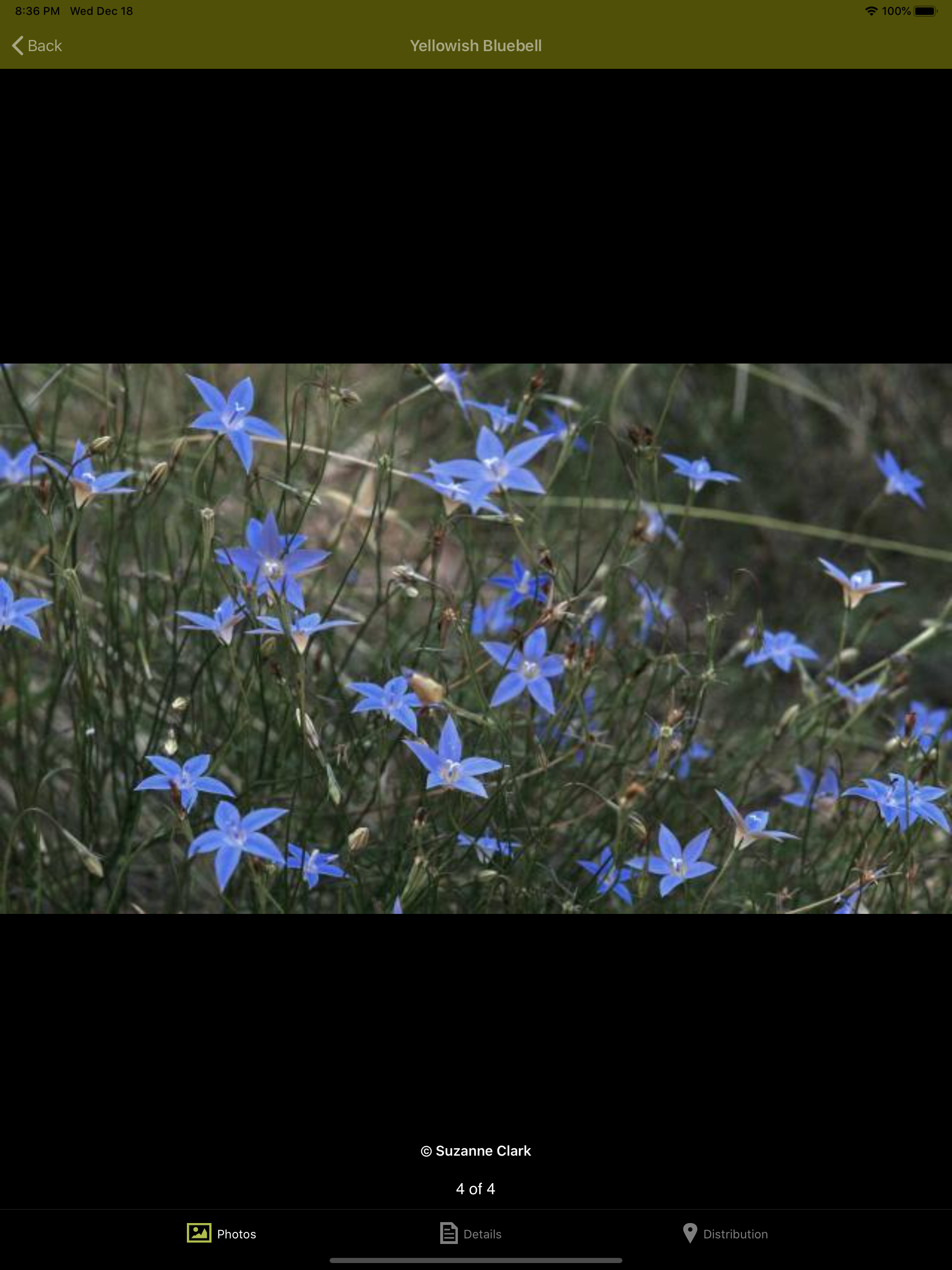 Grasslands
