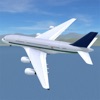 Airport Madness 3D Full - iPadアプリ