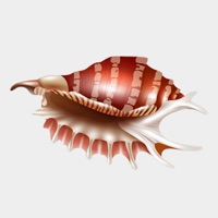 Seashells Ocean Stickers apk