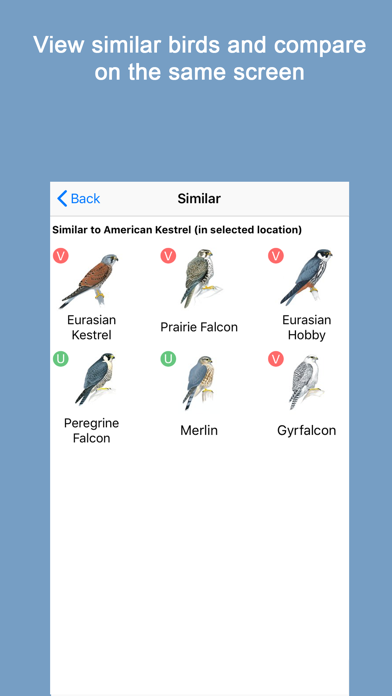 Sibley Birds 2nd Edition Screenshot