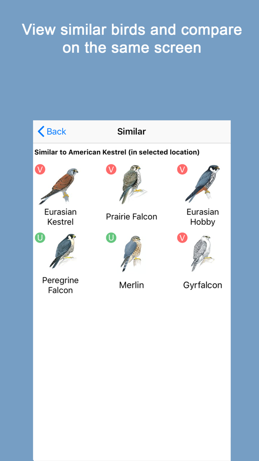 #5. Sibley Birds 2nd Edition (iOS) بواسطة: mydigitalearth.com