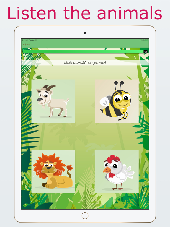 Animals and sounds quiz