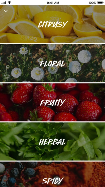 Lush Cosmetics screenshot-3
