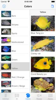 easy fish id caribbean iphone screenshot 4