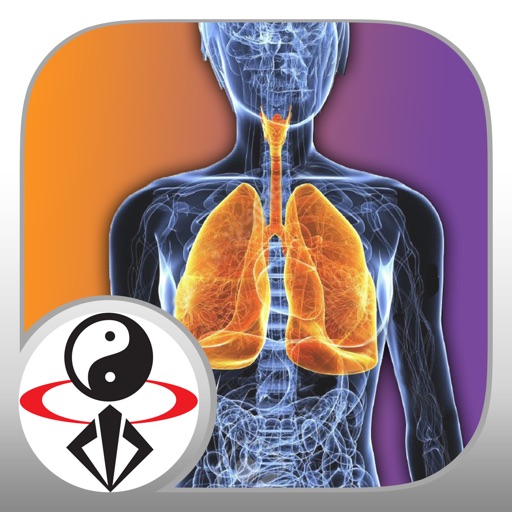 Qigong Breathing Video Lesson icon