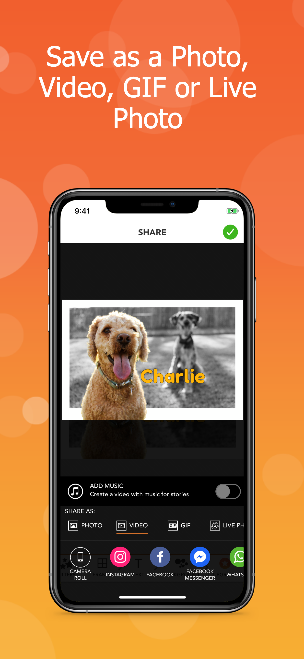 PopAGraph: Photo Editor
