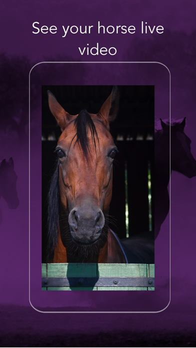 Fabulhorse Screenshot