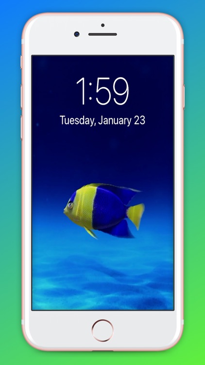 ThemeKong - HD Live WallPapers