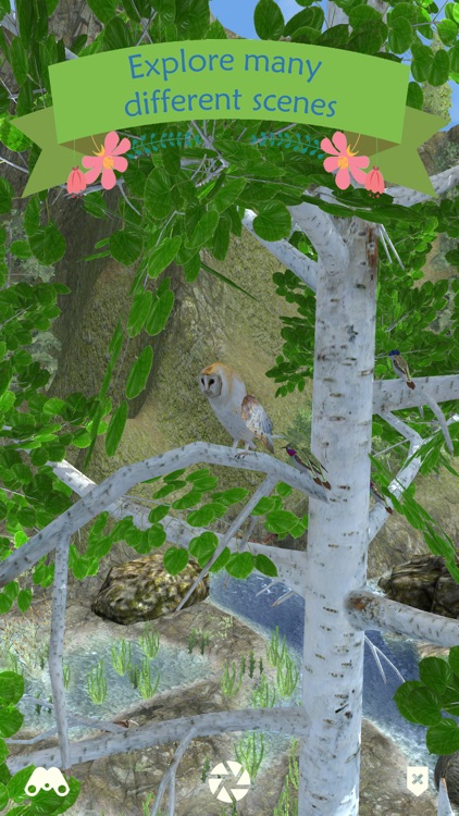 My Aviary screenshot-4