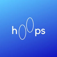 Hoops 2D sur PC