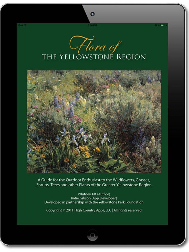 Yellowstone National Yellowstone Series Free Stream Yellowstone