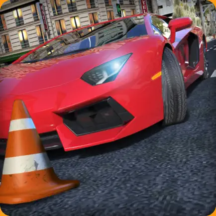 Driving License School Test Cheats