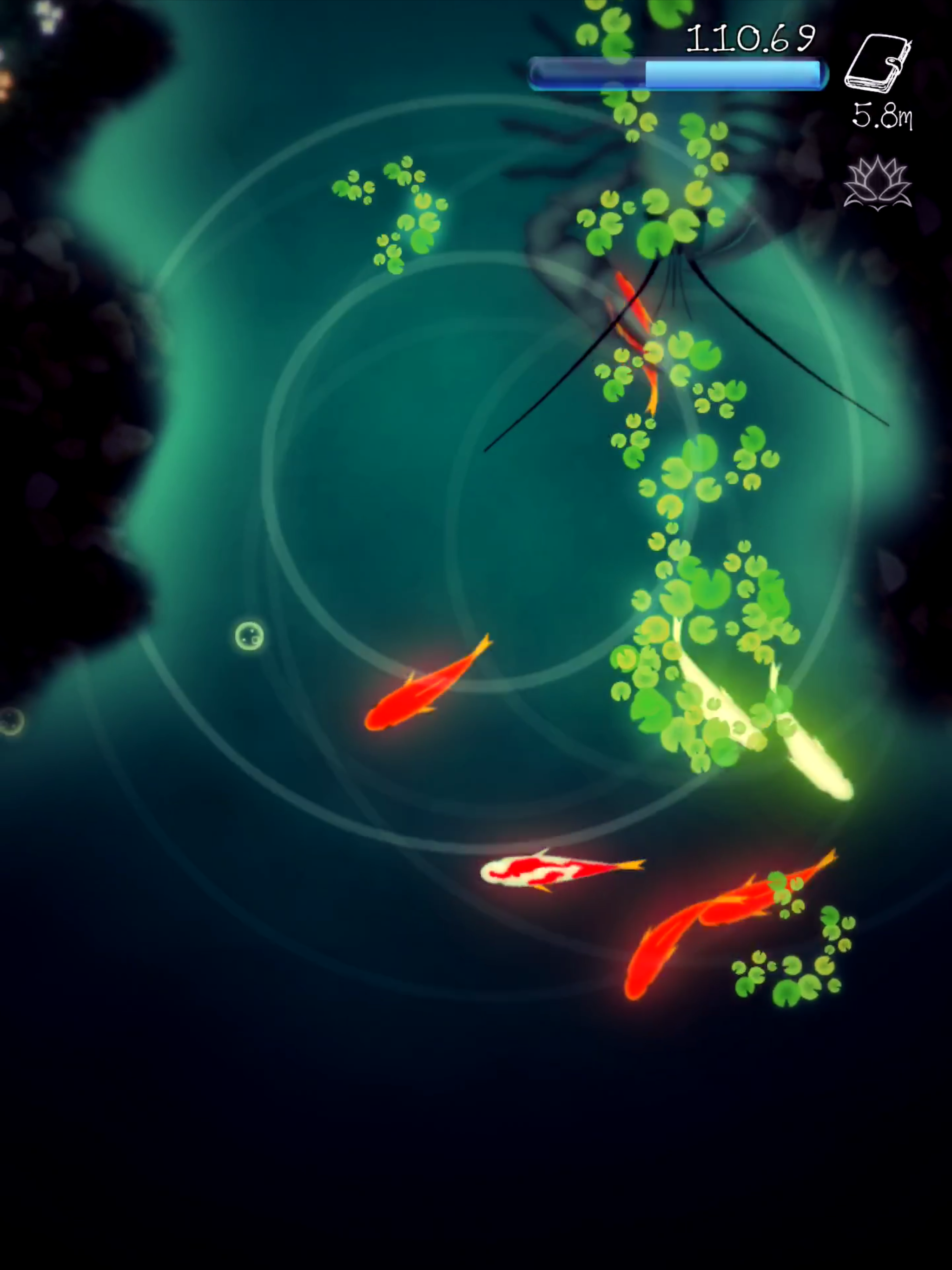 GoldFish -Infinite puddle-