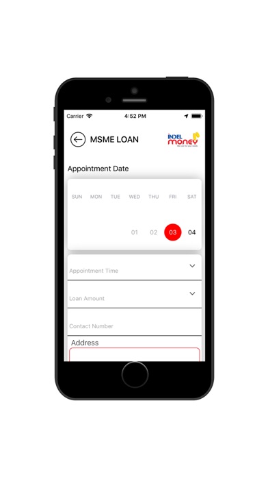 Indel Money Screenshot
